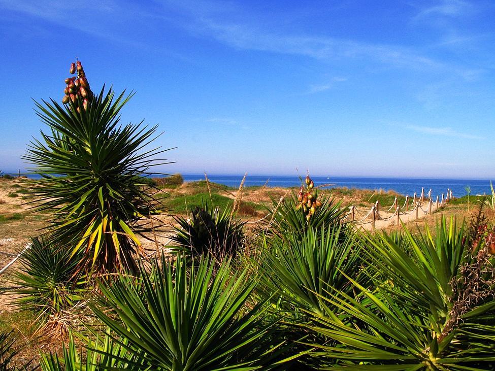 Camping Los Llanos Dénia Exterior foto